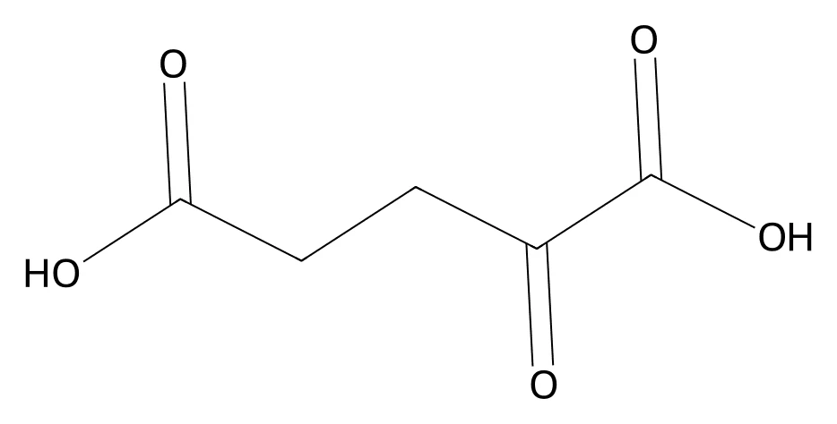 Chemical structure of α-Ketoglutaric acid.