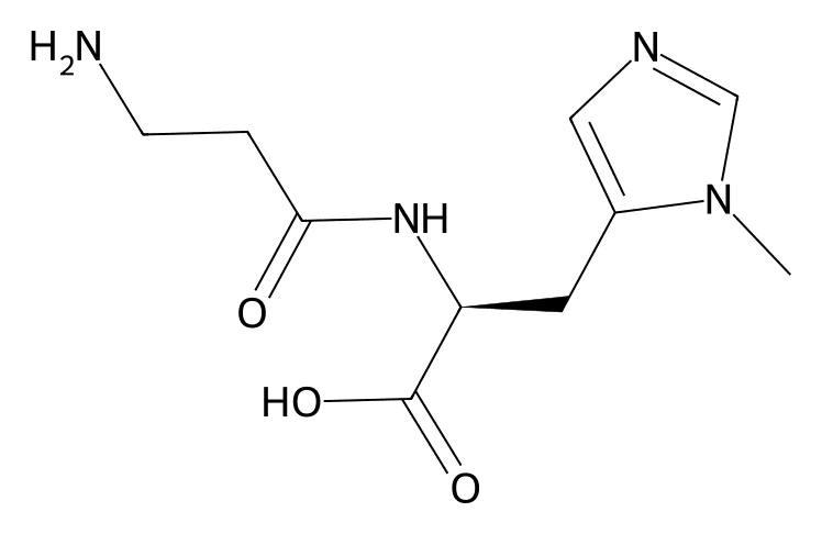 Chemical structure of L-Anserine.