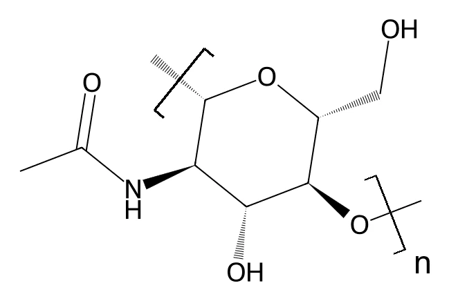 Chemical structure of Chitin.