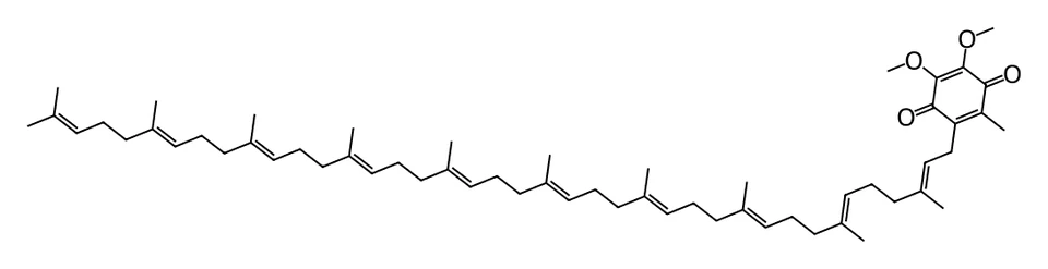 Chemical structure of Coenzyme Q10.