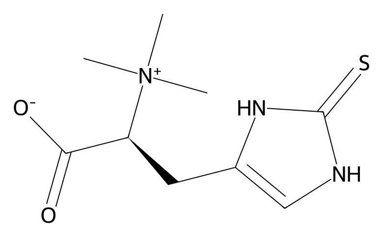 Chemical structure of Ergothioneine (EGT).