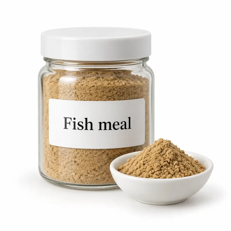 Fish meal in a glass jar and a dish.