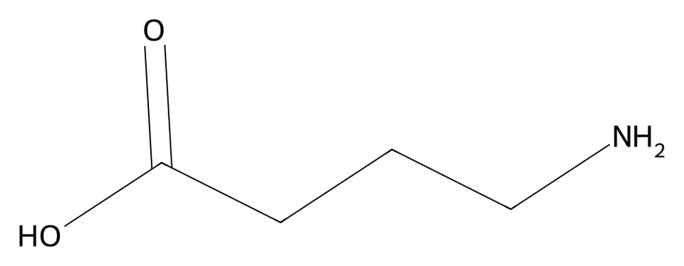 Chemical structure of GABA.
