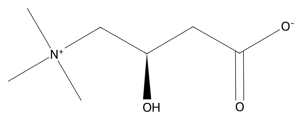 Chemical structure of L-Carnitine.