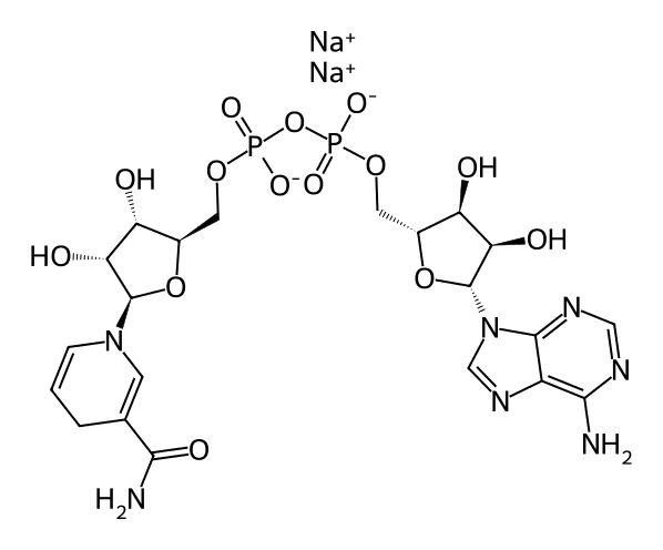 Chemical structure of NADH.