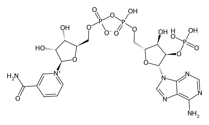 Chemical structure of NADP.