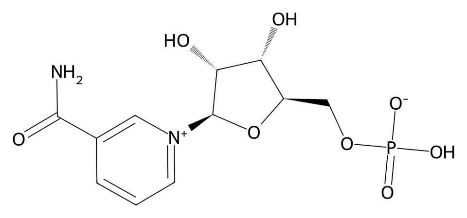 Chemical structure of NMN.
