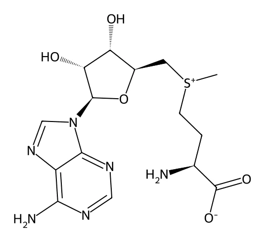 Chemical structure of SAMe.
