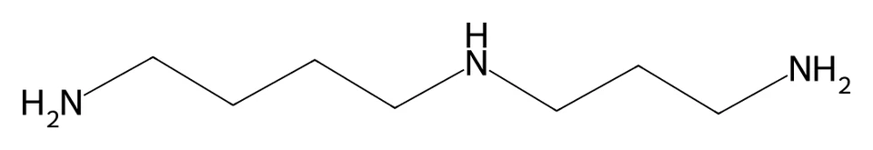 Chemical structure of Spermidine.