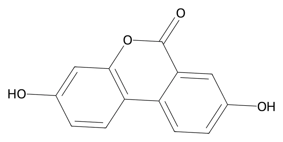 Chemical structure of Urolithin A.